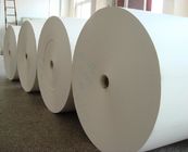 Food Grade Paper Sheet Paper Fan And Roll Bottom Paper For Paper Cup Making